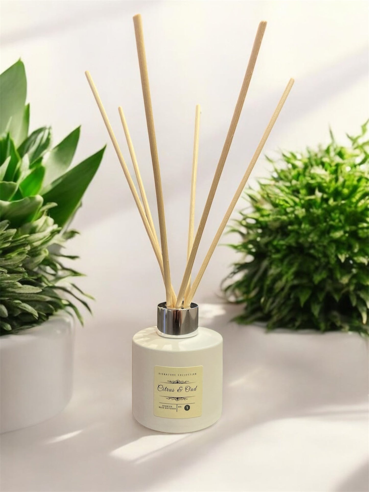 Citrus & Oud Reed Diffuser 100ml displayed with natural greenery background, featuring rattan reeds and a sleek design.