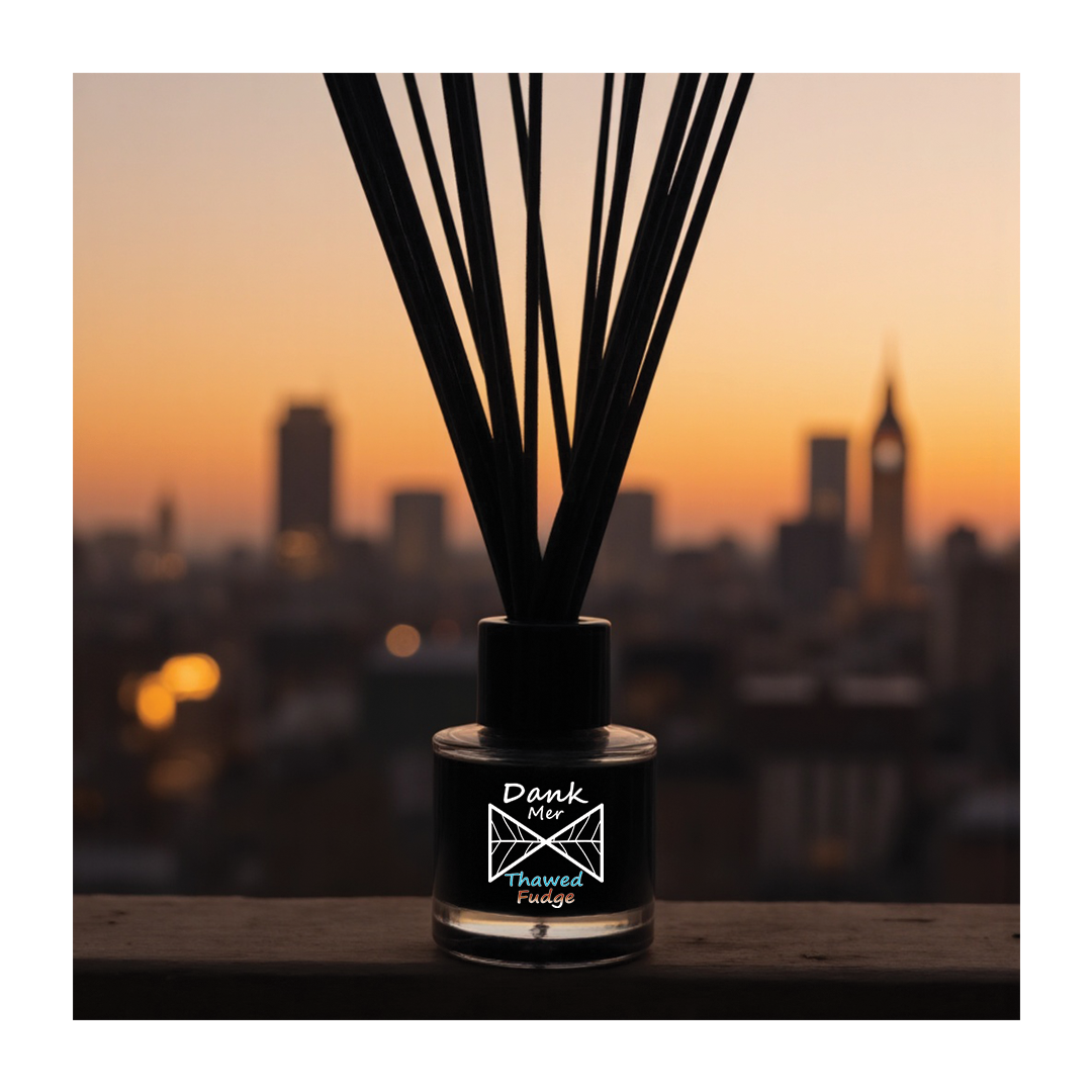 Thawed Fudge Single Diffuser positioned against a city skyline at sunset, featuring elegant reed sticks.