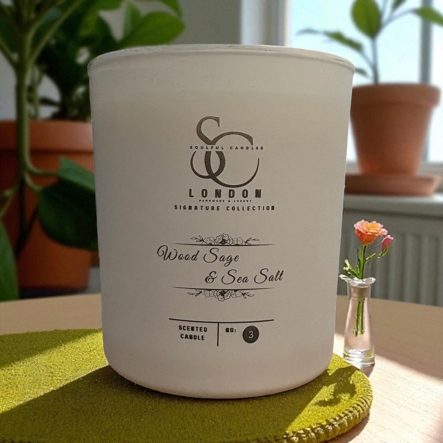 Wood Sage & Sea Salt: Inspired by coastal breezes, the freshness of sage with the crispness of sea salt.
