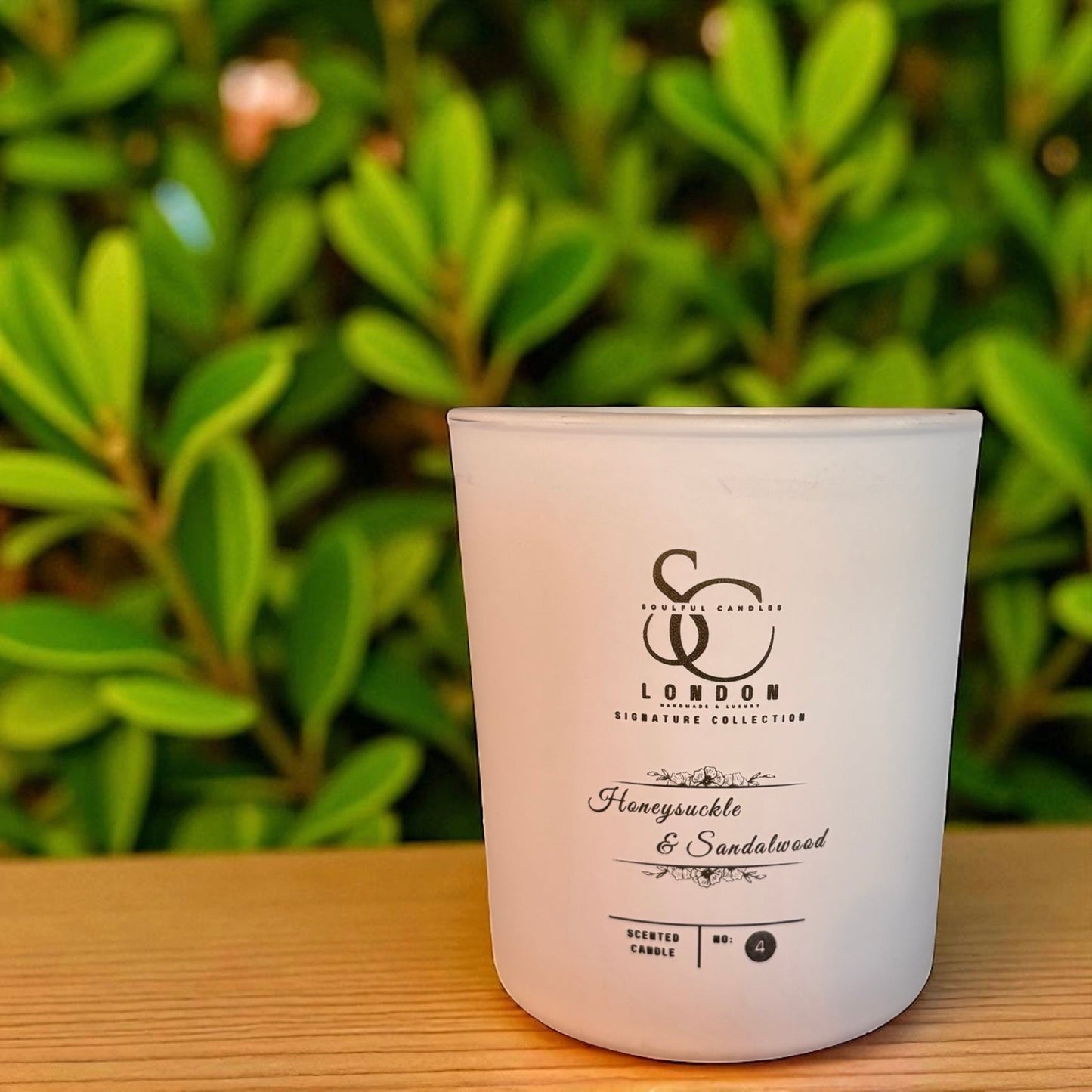 Honeysuckle & Sandalwood: A soothing mix of floral honeysuckle and earthy sandalwood.