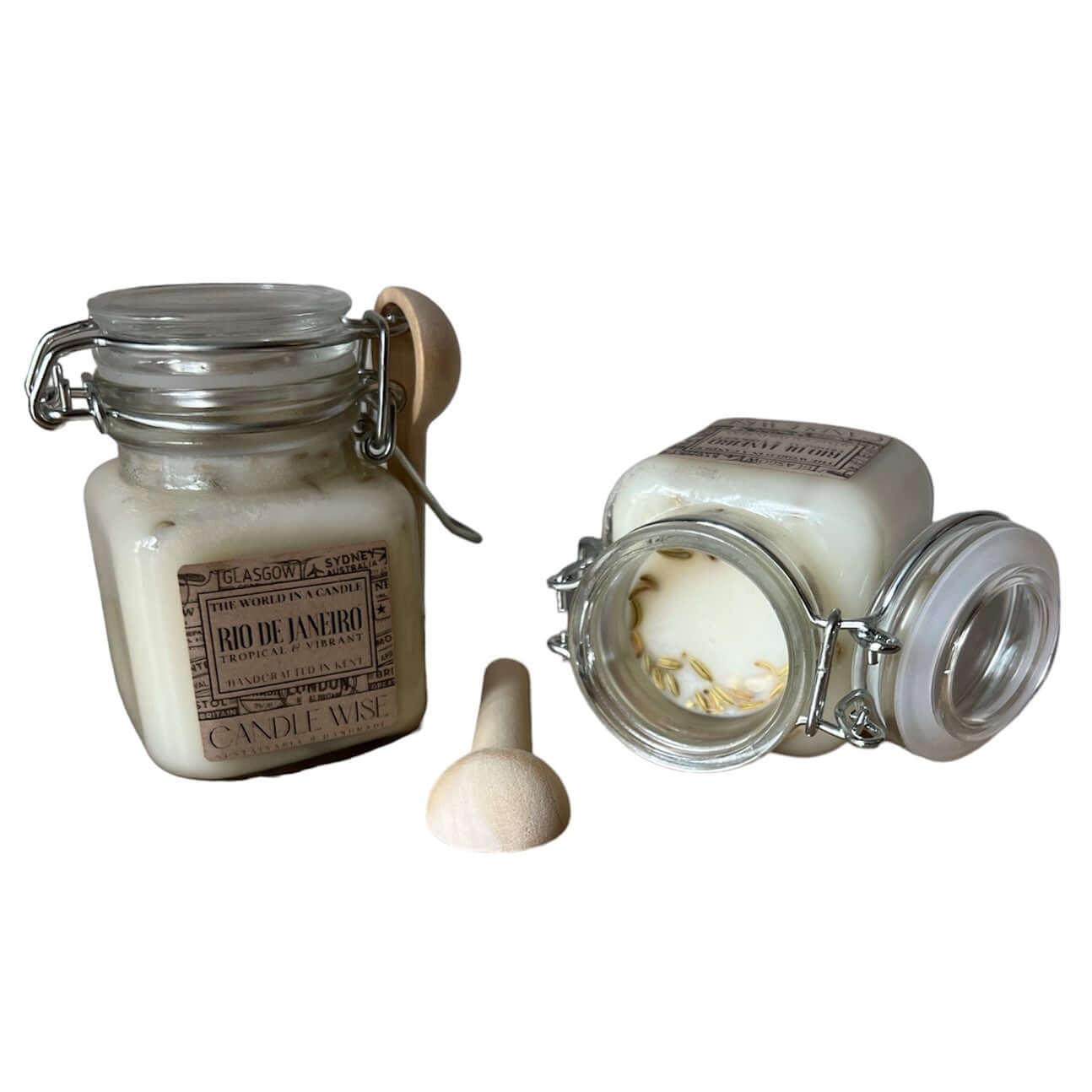 Rio de Janeiro Scoopable Wax Melt | Tropical and Vibrant