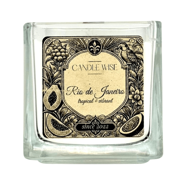 Rio de Janeiro Large Scented Candle | Tropical and Vibrant