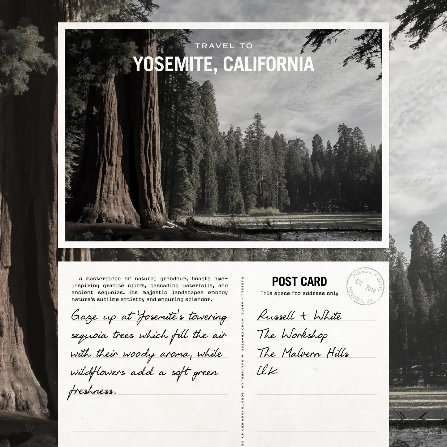 Sequoia Scented Candle - Embrace Nature's Aroma postcard featuring Yosemite's towering trees and nature's beauty.