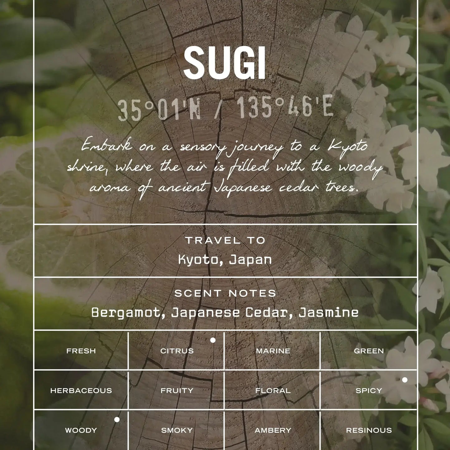Sugi Scented Candle Refill